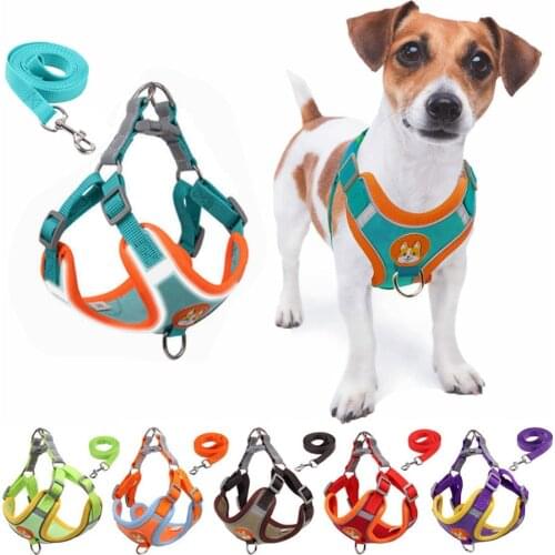 Ошейники, шлейки и поводки Diliget.Te China At AliExpress