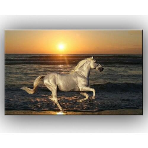 NEW 100% hand-painted The sunshine on the beach a horse Oil Painting On Canvas Wall Art Decoration sitting room 151231168