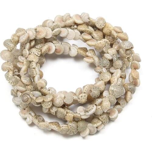 Natural shell Beaded Conch shape craft shell beads For jewelry making DIY Bracelet necklace accessories fish tank landscape