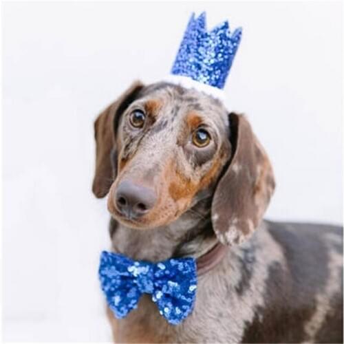 Pet Cat and Dog Birthday Bowknot Costume Headwear Caps Hat Birthday Party Costume Headwear Pet Accessory