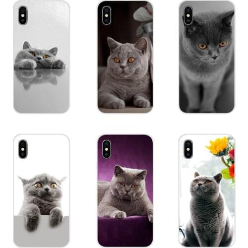 Accessories Phone Shell Covers British Shorthair Cat For Samsung Galaxy A3 A5 A7 A9 A8 Star A6 Plus 2018 2015 2016 2017