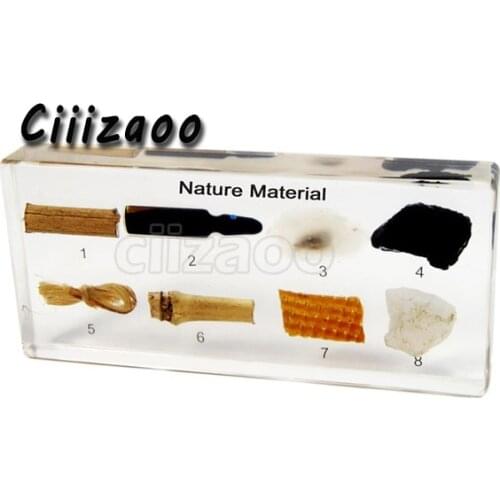 Natural Material Specimen paperweight Taxidermy Collection embedded In Clear Lucite Block Embedding Specimen