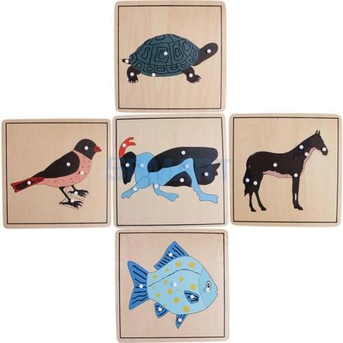 Montessori Zoology Material - 5 Animal Skeleton Puzzles for Kids Learning Education Wooden Toys
