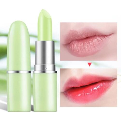 Aloe Vera Moisturizing Lip Balm Strawberry Lip Balm Moisturizing And Repairing Lip Discoloration Lipstick Lip Care TSLM1