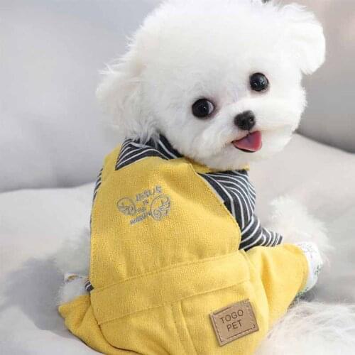 Early autumn new pet Teddy Bichon Pomeranian VIP Yorkshire milk dog puppies small dogs dog clothes autumn