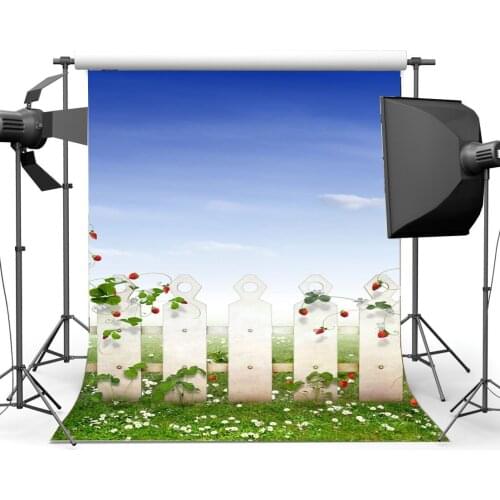 Spring Backdrop Fairytale Strawberry Green Leaves Vine Wood Fence Flowers Green Grass Meadow Background Boys Girls