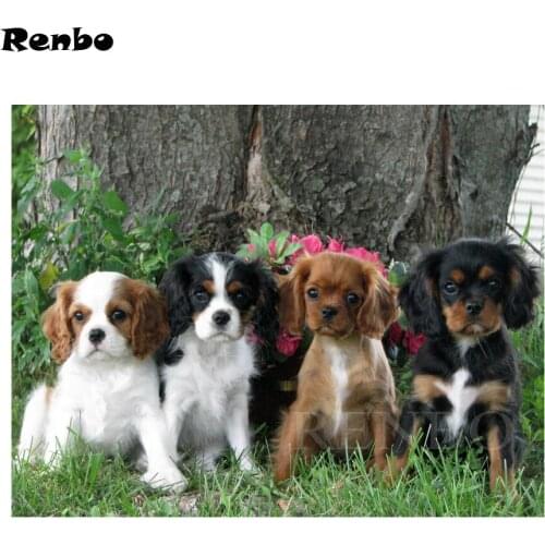 5D,DIY,Diamond Painting pet,3D"Cavalier King Charles Spaniel" Diamond Embroidery,Cross Stitch,Diamond Mosaic,Needlework,Decor