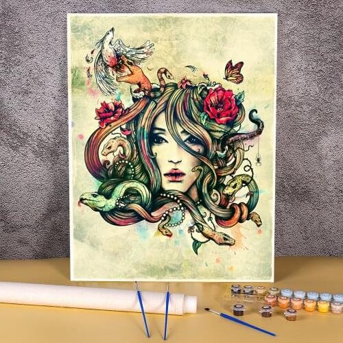 Unknown Beauty Before Death DIY Painting By Numbers Complete Kit Oil Paints 40*50 Picture By Numbers Photo Handicraft