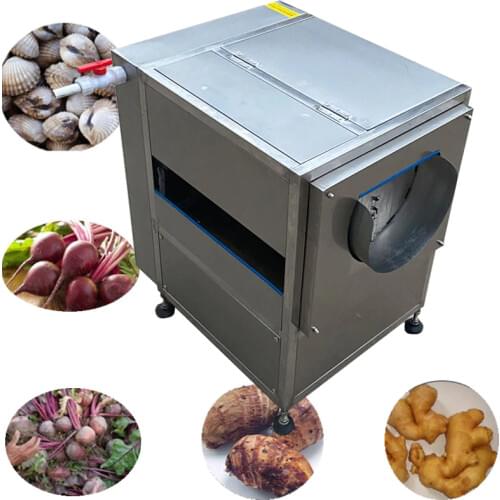 2021 Factory Direct Salesindustrial Brush TypePotato Carrot Vegetable Fruit Brush Roller Spray Washing Machine Peeling Cleaning