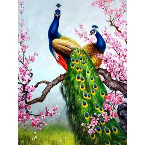 Bird Diy Peacock Printed Water-Soluble Canvas 11CT Cross-Stitch DIY Embroidery Set DMC Threads Painting Hobby Craft Gift