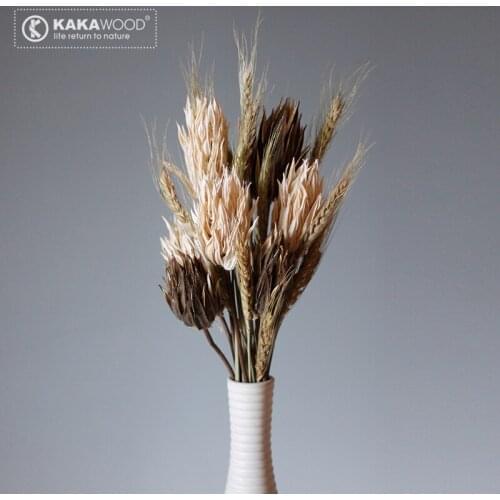 Kakawood Suju Two-Color Autumn Dragon Flower Home Soft Decorations Natural Plant Dried Fruit Dried Flowers Bouquet Dried Flowers