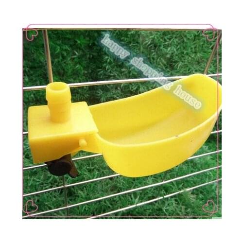 Pet birds quail with autodrinker drinking bowl with drinking fountains drinking bowl half bird