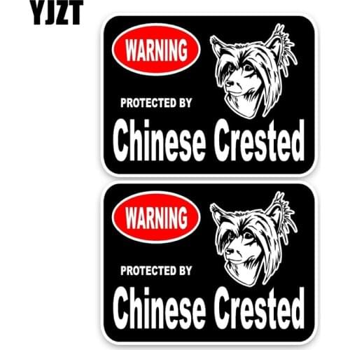 YJZT 15*11.4CM 2X Chinese Crested Guard Dog Funny Car Sticker Car Window Decal C1-4339