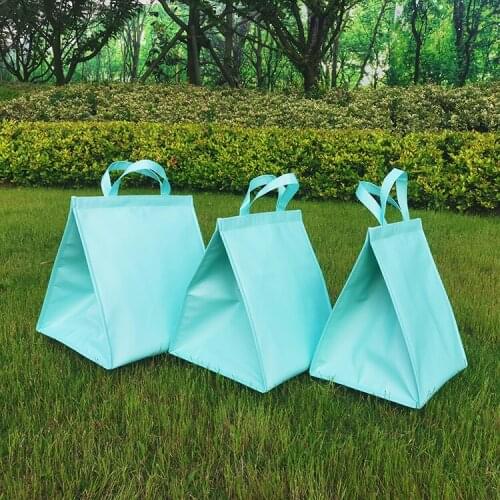 6-8-10-inch Insulated Picnic Cooler Bags Cake Pizza Lunch Picnic Box Insulated Cool Handbags Ice Pack Thermo Portable Insulati