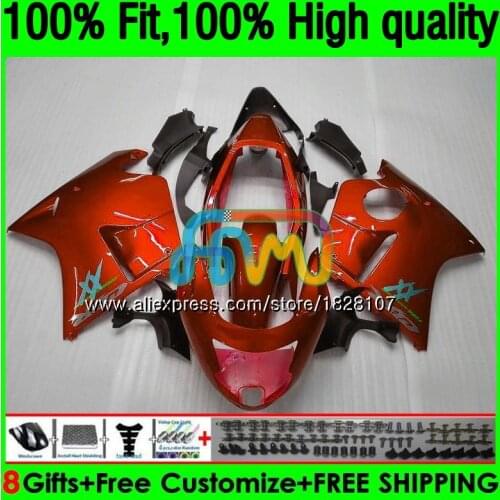 CBR1100 XX For HONDA Blackbird CBR 1100XX 02 03 05 06 07 132BS.132 CBR1100XX 2002 2003 2004 2005 2006 2007 Fairings Dark orange