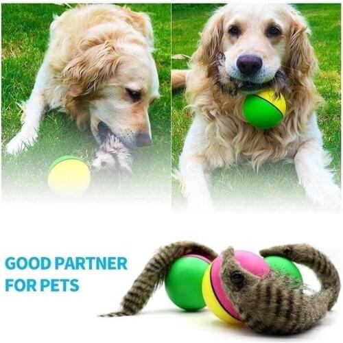 Cute Pet Puppy Dog Interactive Toys Pet Cat Dog Ball Toy Small Motorized Clastic Bell With a Hairy tail Interactive Toys #065