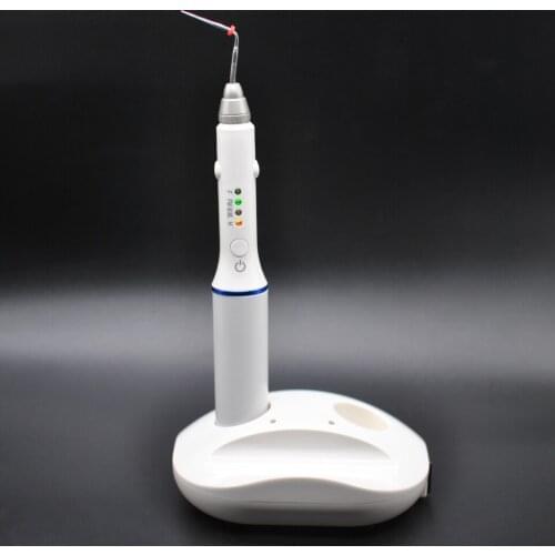 1sets Double Charging Hot Melt Filling System Dental Cordless Teether Percha Obturation System Endo Heater with 4 tips
