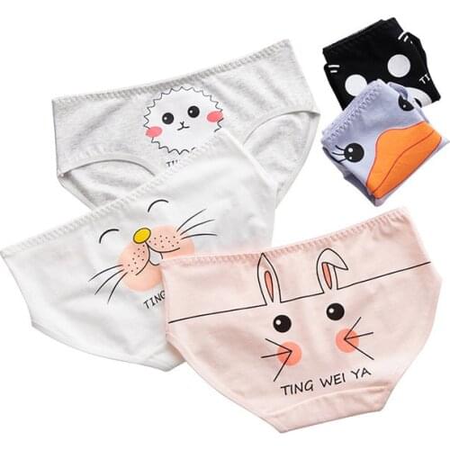 Funny Cute Cartoon Cotton Briefs Period Panties for Women Animal Print Lingerie Underpants M-XXL
