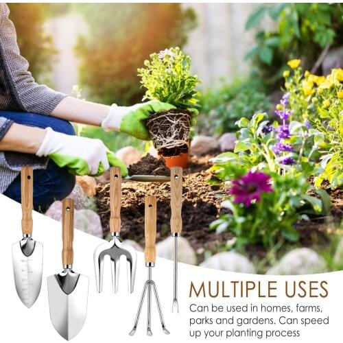 5PCS Mini Gardening Tool Lawn Rake Fork Scoop Transplant Work Gardening Accessories Stainless Steel Garden Hand Tools