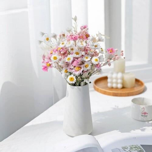 Dried Flower Pink Room Decoration Outdoor Garden Accessories Natural Artificial Plants Gift Office Party SuppliesThe Background