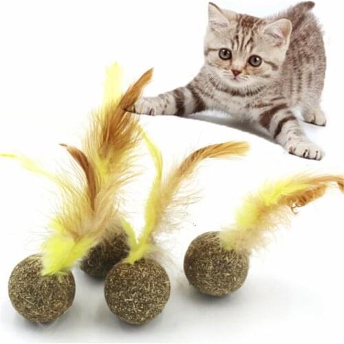 10/20 Newest catnip ball cat snacks Playing and Cleaning Teeth Toy Ball with feathers molars and hair ball cat grass feather toy