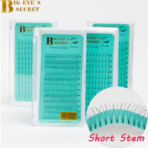 Big eyes secret Lashes Premade Volume Fans 3d/4d/5d/6d Short Stem Russian Volume makeup tools Faux Mink Eyelash Extensions