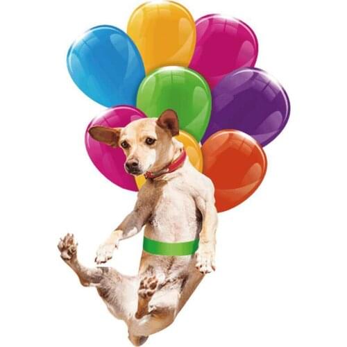 Car Pendant Creative Cute flying dog Rearview Mirror Pendant Car Interior Decoration For Girls Car Interior Accessories#p3