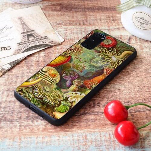 For Samsung Galaxy Sea anemone - Ernst Haeckel Soft TPU border Samsung Galaxy Case