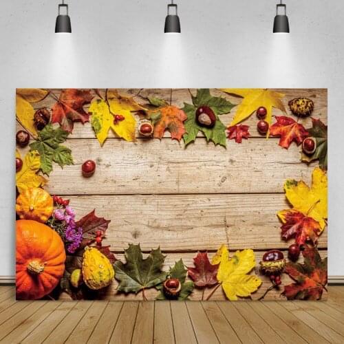 Laeacco Autumn Fruit Wooden Boards Texture Photographic Backdrop Pumpkin Maple Leaf Toys Child Portrait Background Photo Studio