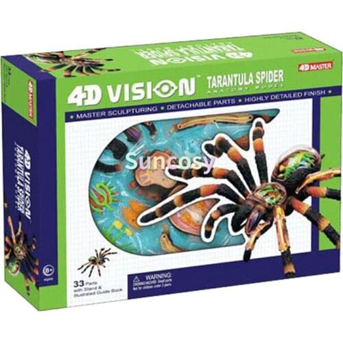 4D Vision Tarantula Spider Anatomy Model, DIY Puzzle Assembly Animal Anatomy Model Kit, Anatomy Medical Teaching Model