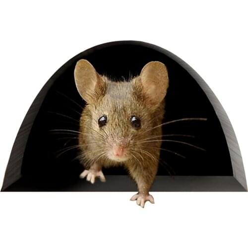 Creative Realistic 3d Mouse Wall Sticker Cute Mouse In A Hole Wall Decal Animals Wallpaper Kids Decoration Mural Modern Stickers
