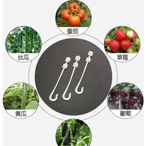 100Pcs J Shaped Fruit Grow Support Pull Hook Greenhouse Cherry Tomato Ear Hook Garden Grape Support Vines Fixed Buckle Hook
