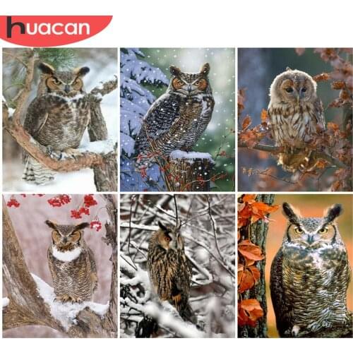 HUACAN Paint By Numbers Owl Animal Wall Art Unique Gift Hand Painted On Canvas Acrylic Picture By Numbers Winter For Living Room