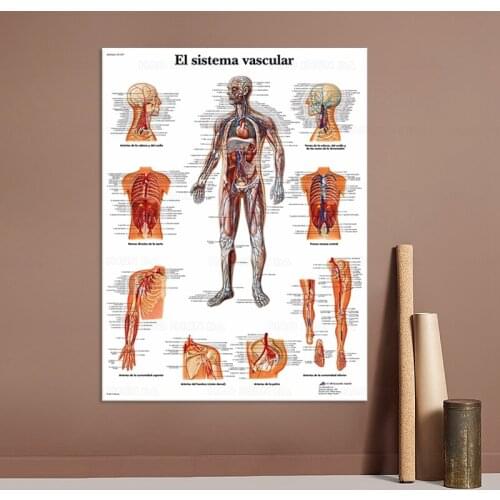 Human Anatomy Muscles System El sistema vascular Poster Print Body Map Canvas Wall Pictures for Science Medicine Bedroom Decor