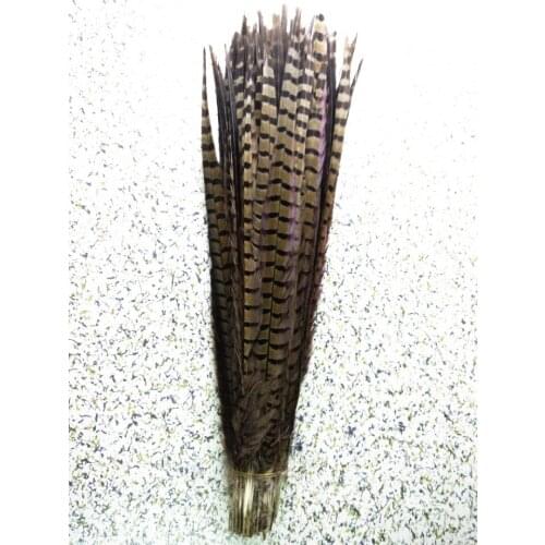2015 Hot! 50pcs / lot natural Pheasants feathers, 18-20 "/ 45-50cm DIY jewelry, art performances props Accessories