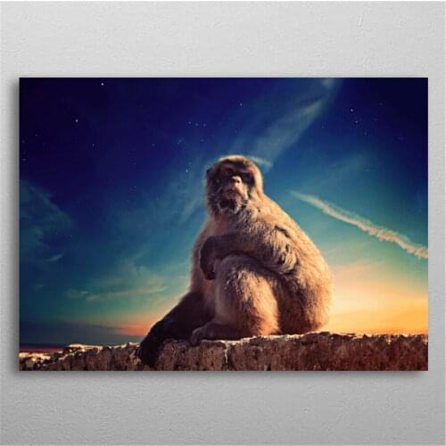 5D Diy Diamond Painting Daydreaming Macaque Diamond Embroidery Full Diamond Mosaic Animals Wall Sticker Rhinestones Home Decor
