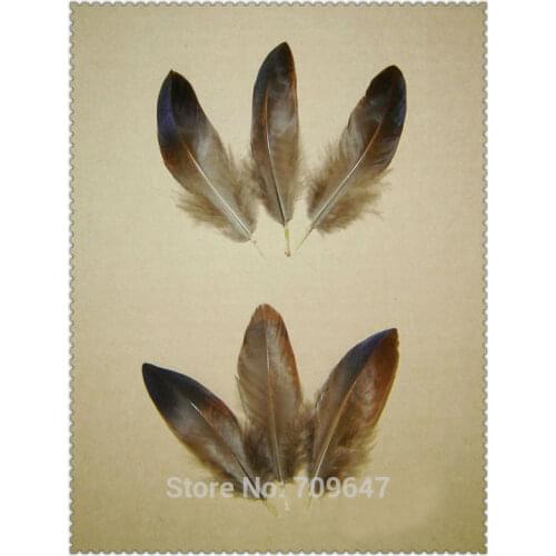 Small Feathers!50Pcs/Lot!5-7cm Rarely Nature Golden Pheasant Unique Pattern Feathers for Fly Fishing ,plume decoration