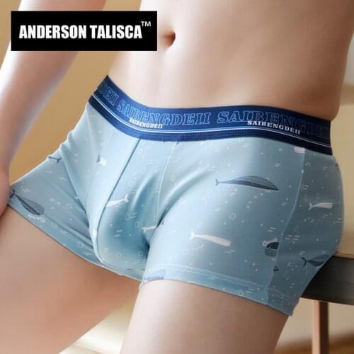 ANDERSON TALISCA New Underwear Men Boxer Para Hombre Man Penis Mens Boxers Cuecas Masculina Boxershorts Homme Size M-2XL ST0719
