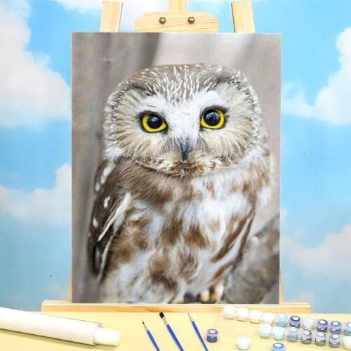 Bird Owl Animal DIY Paint By Numbers Set Oil Paints 40*50 Picture By Numbers Photo Home Decoration Children Wholesale