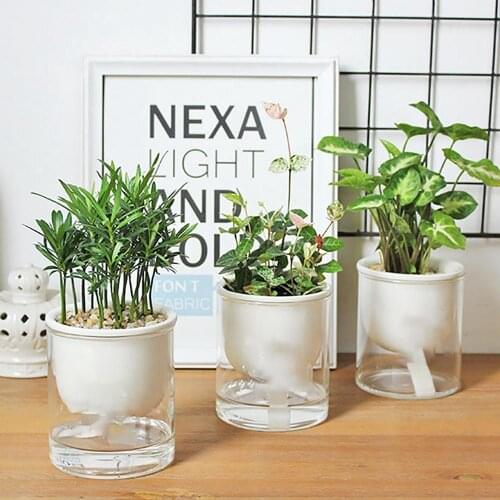 2PCS Clear Self Watering Pot With Cotton Rope Flower Plante Water Container Desktop Garden Flower Pot Decoration Hydroponic