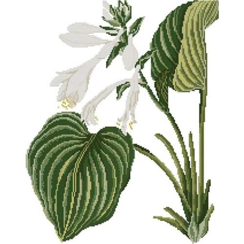 BMBY-Stamped Cross Stitch Kits Preprinted Embroidery Cloth DIY Needlepoint Kits for Beginners - LiLy