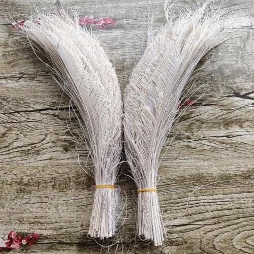 Wholesale Pretty 500pcs Beige Peacock Feather sword 12-14inch/30-35cm left and right Symmetric Decoration