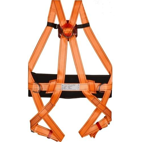 Fall Protection and Positioning Harness