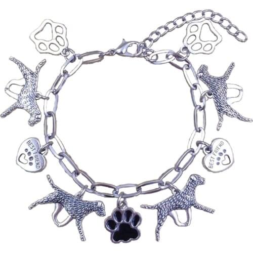 2021 Summer Beach Foot Jewelry 16 Styles Anklets Stainless Steel Dog Animal Ankle Chains Unique Sexy Women Female Gift A111