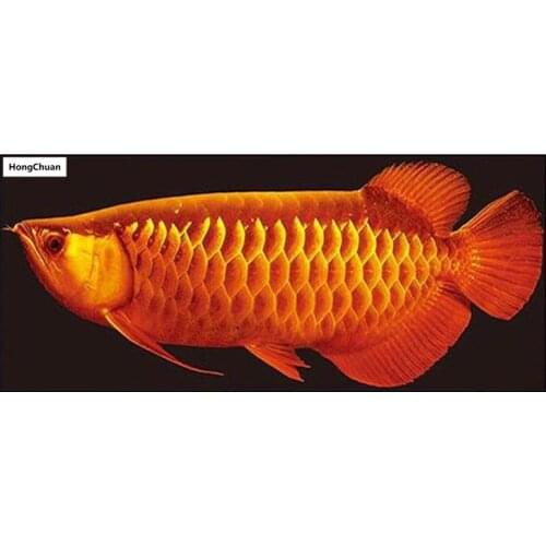 Red Koi 5D DIY Square/Round Diamond Painting Cross Stitch Needlework Home Decoration Mural Mosaic Diamond Embroidery Gift