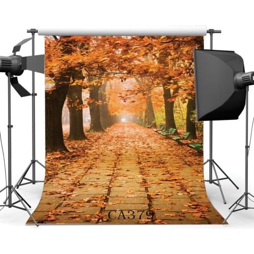 Seamless Rural Nature Autumn Fall Leaf Scene Customized Photography Backdrop Background Studio Prop CA379