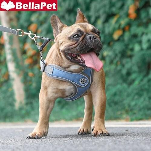 Reflective Dog Harness and Leash Set Durable Pet Harness Leash for French Bulldog Labrador Corgi Dog Harness Outside Accessories