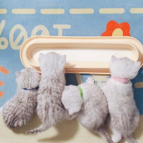 Self-service Puppy Kitten Feeding Bowl for Pet Dog Cat Bady Nursing Water Milk Feeder Newborn Cat Drinking Bottle Silicone Bowls