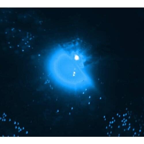 LED Mini Deep Sea Drop Underwater Tackle Fishing Squid Fish Lure Light Flashing Lamp