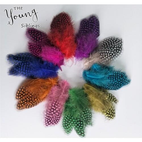 Hot sale 50pcs / lot pearl feathers 6-12cm 2.3-4.7 inch colored Chicken Feather for 500pcs Christmas tree decorating Accessories